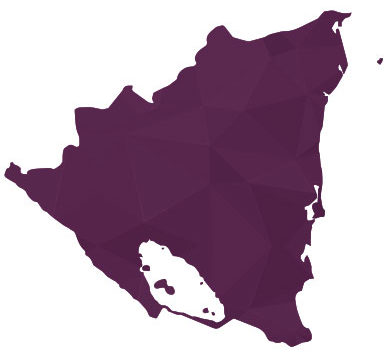 purple nicaragua