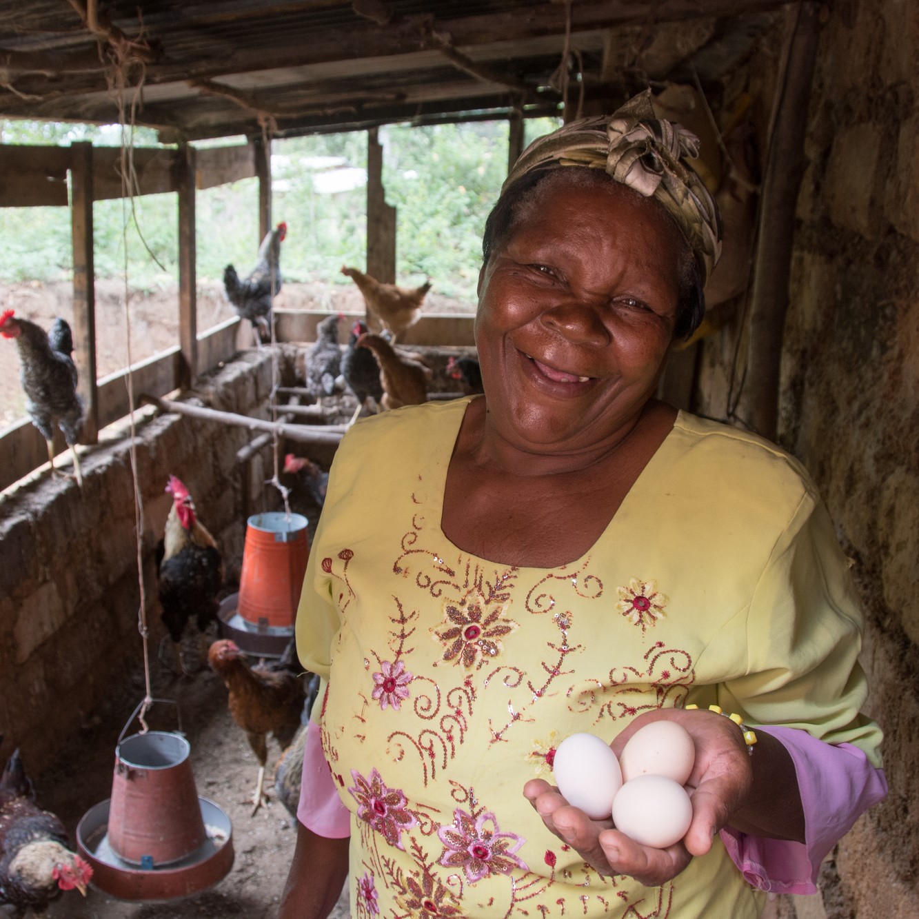 Conservation Agriculture Project, kenya