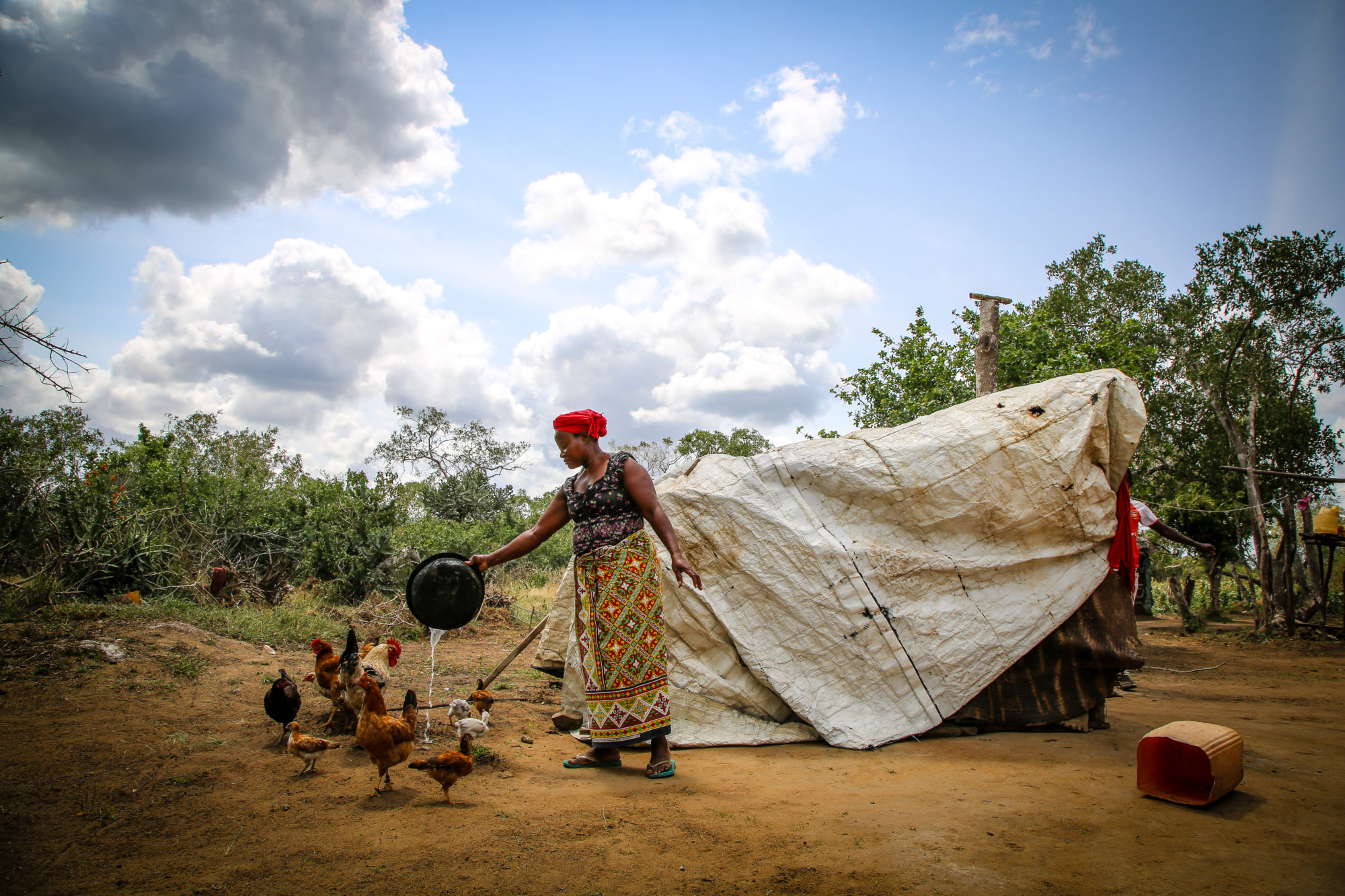 African woman empties a pot of water for her chickens