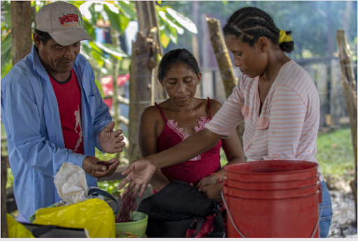 three Hondurans sort food items into bowls