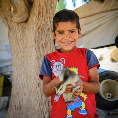 A child holds a duck