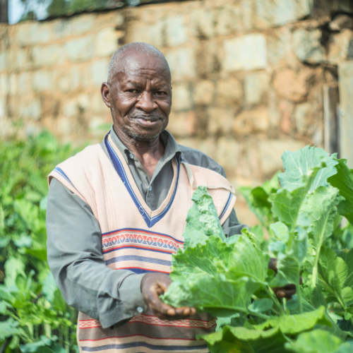 A man holds his kitchen garden vegetables