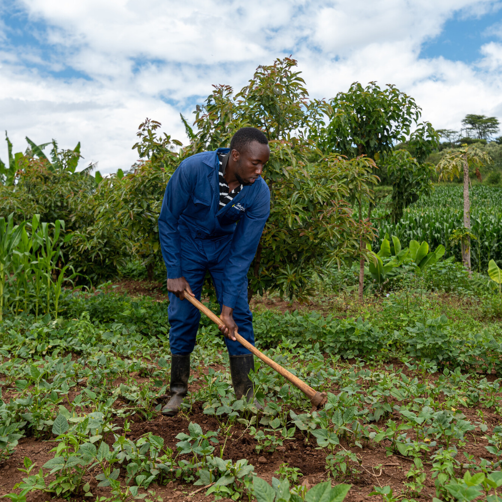 A man uses a hoe to work his field