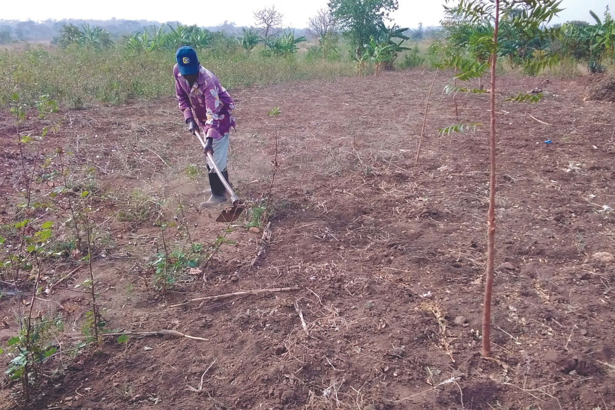 Farmer tending his field in Kenya.