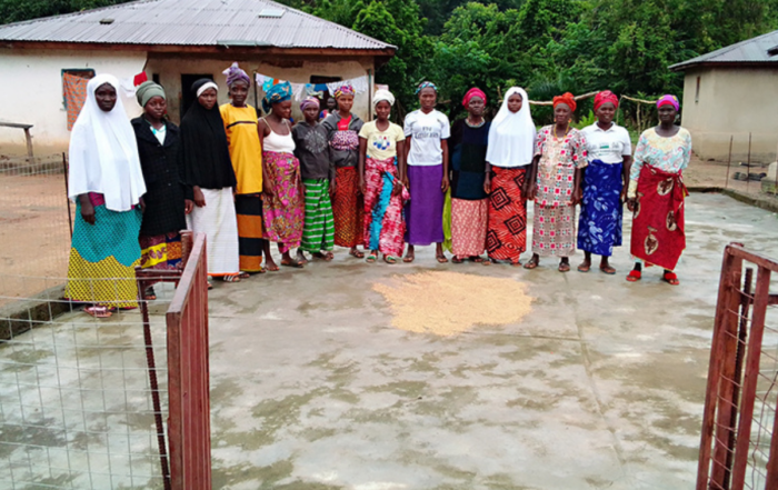 Women often stand over the drying rice.