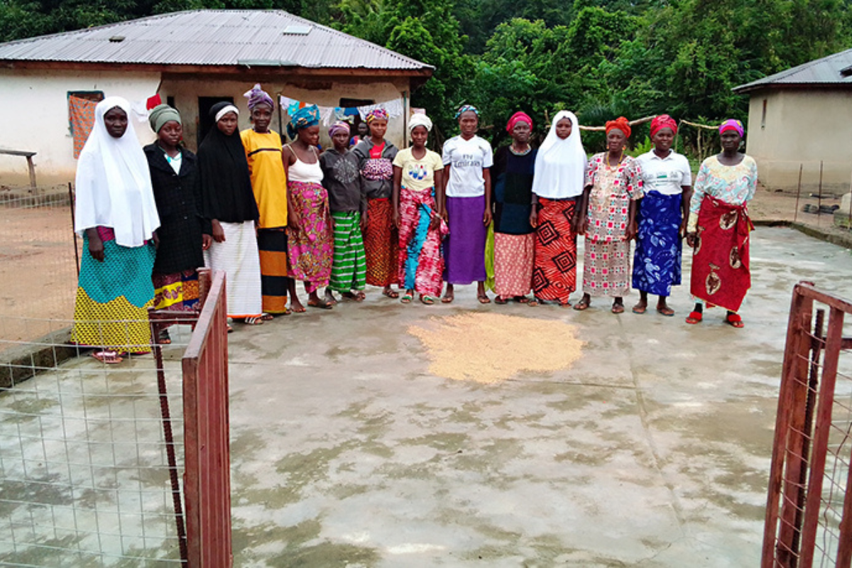 Women stand over drying rice.