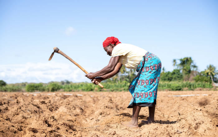 A woman preparing her fields.