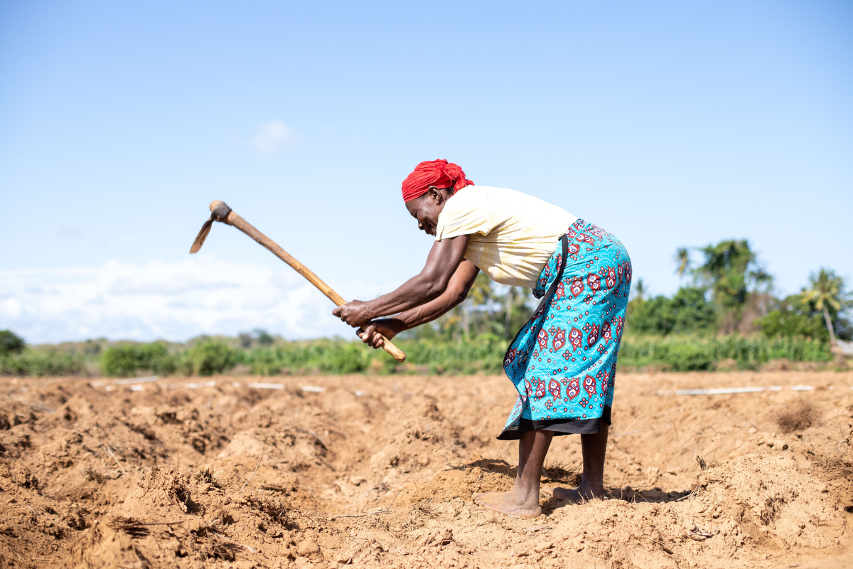 A woman preparing her fields.