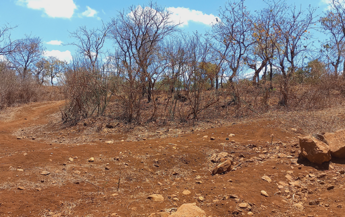 Barren land in Kenya