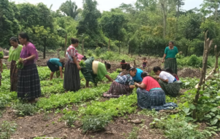 Women farmers working in their field in Guatemala.