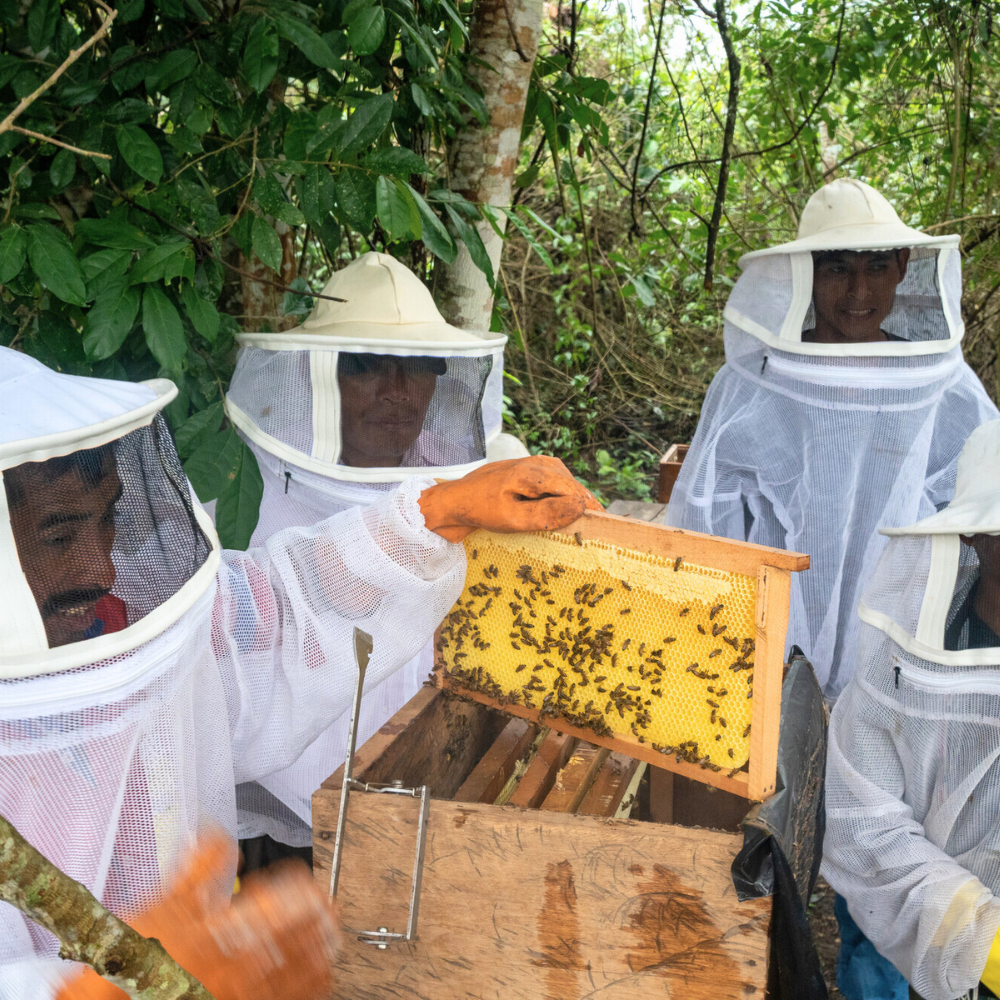 Beekeeper training students.