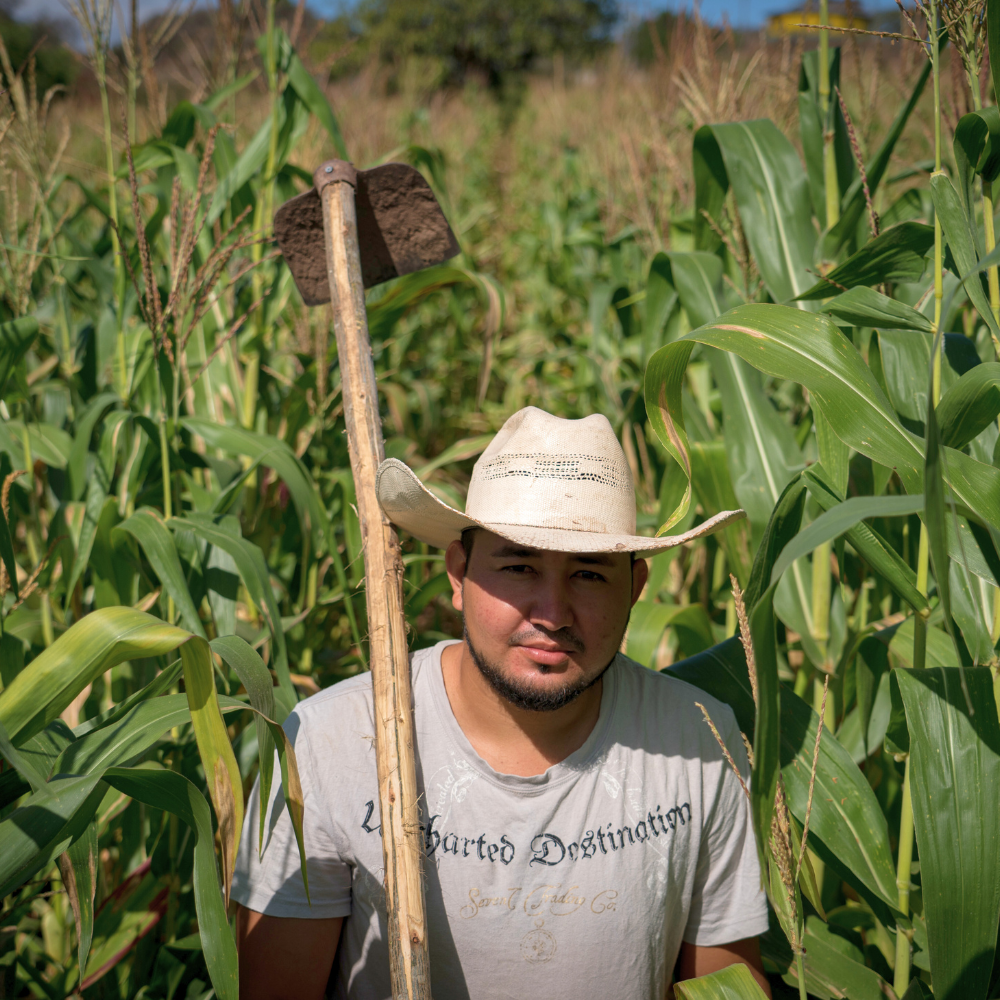 Man with a farming tool in his field.