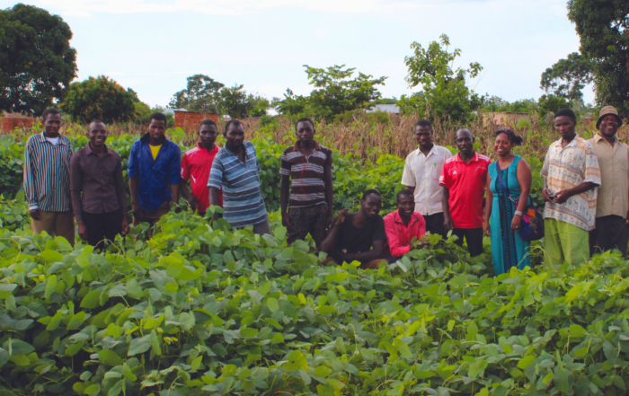 Conservation agriculture in Tanzania