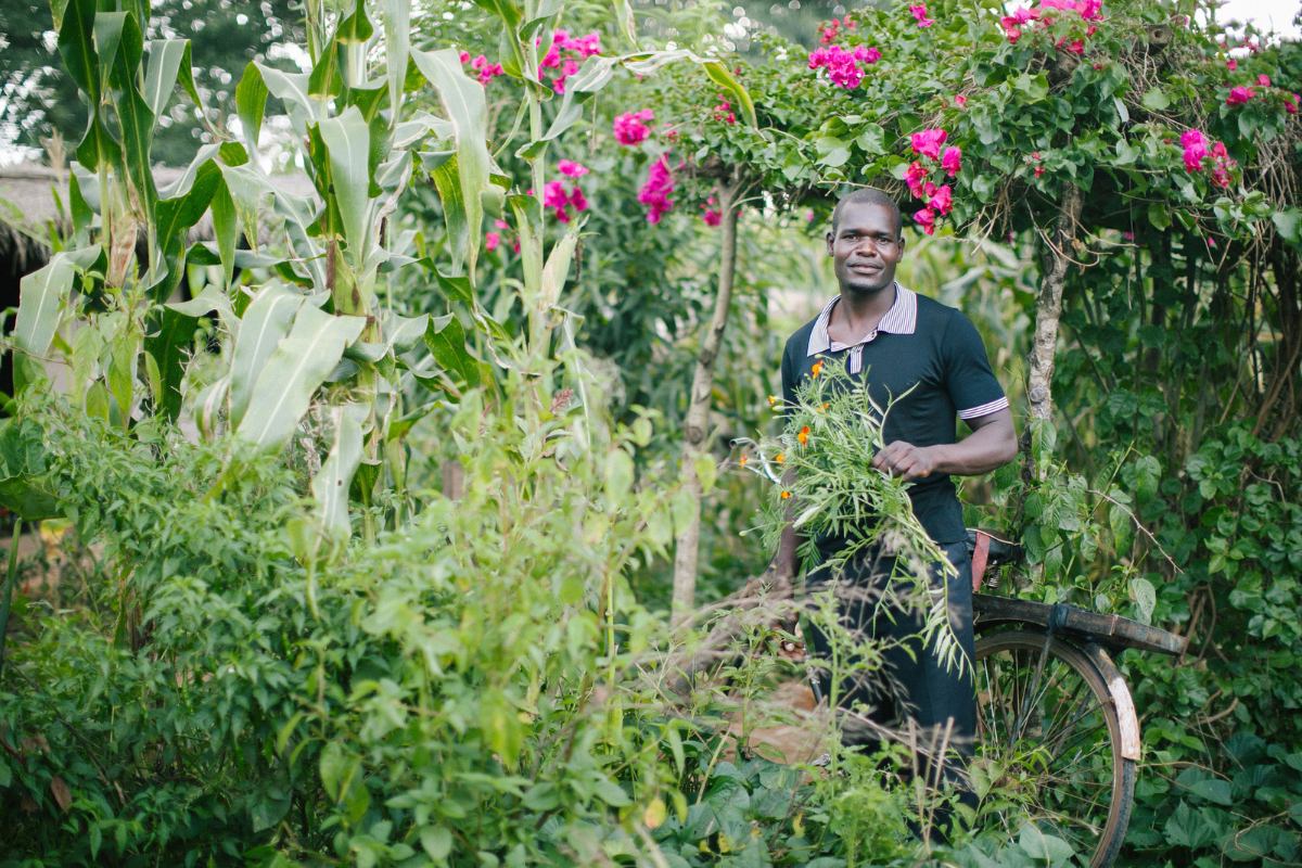 A farmer holds flowers in his field