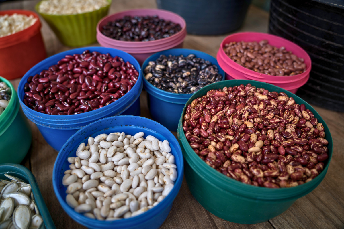 Bowls of beans and seeds