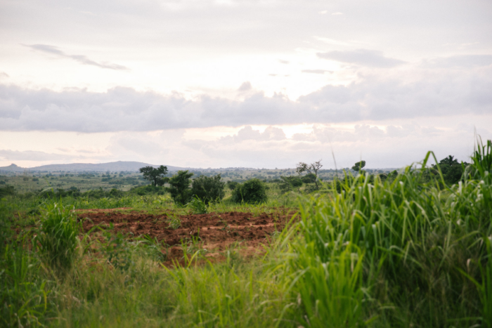 Field and mountains in Mozambique