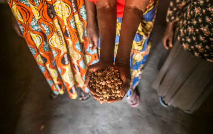 Women hold seeds