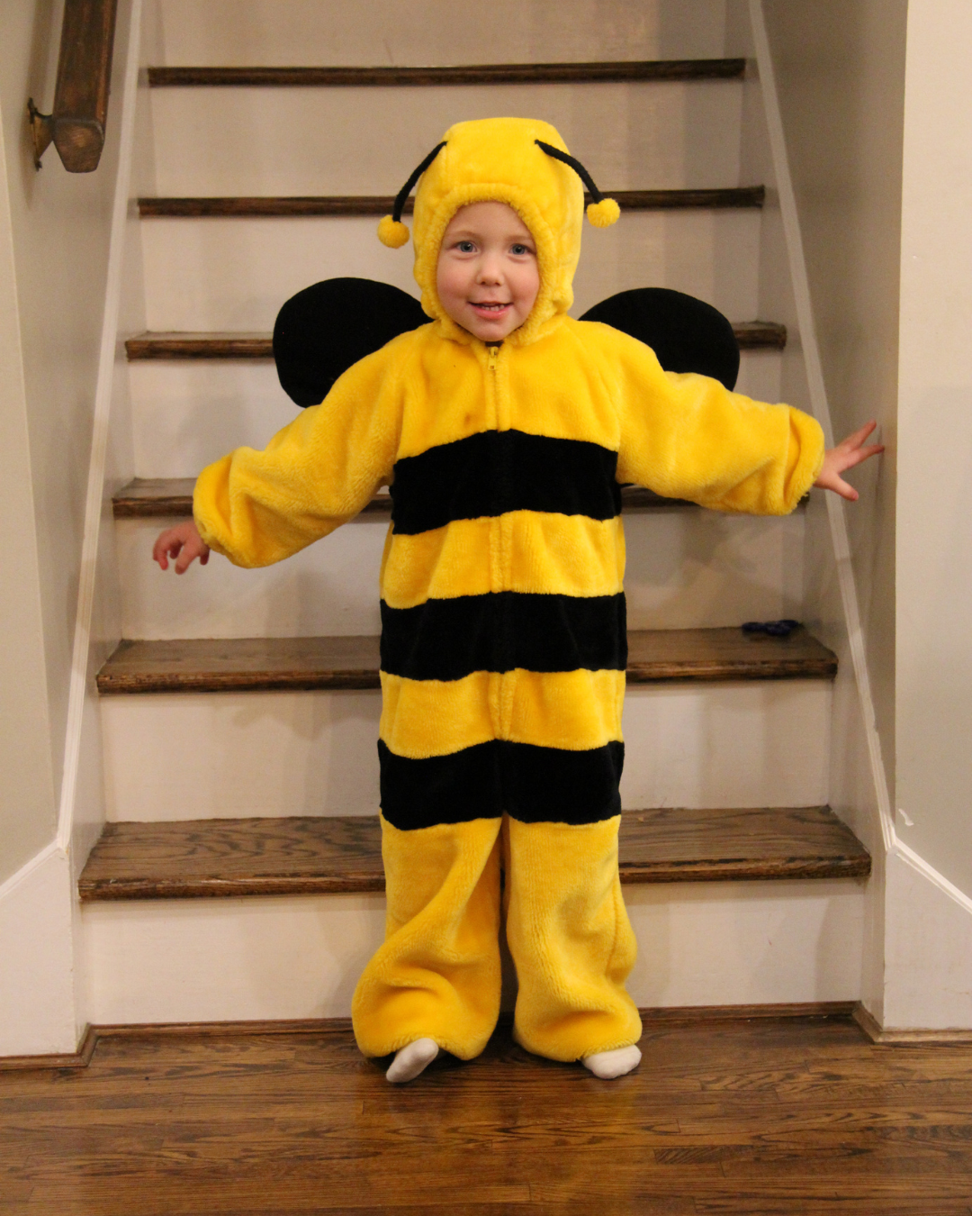 Child in a bee costume