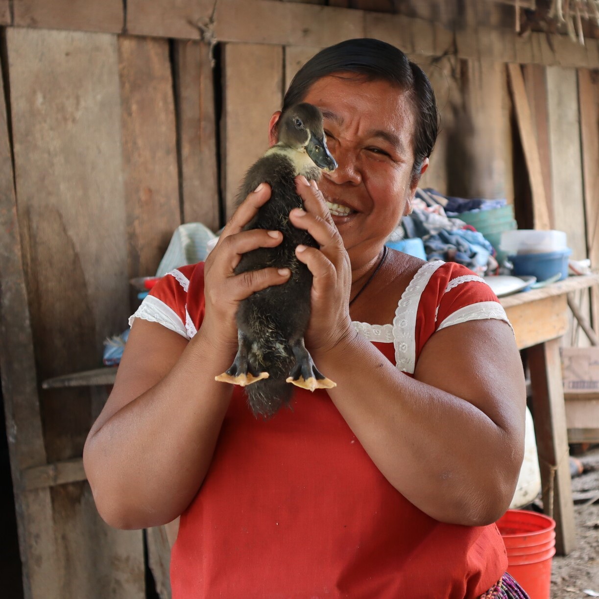 a woman holds a duck