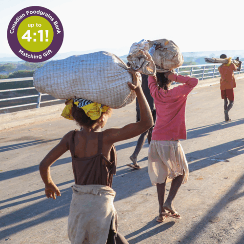 Women carry food on their heads