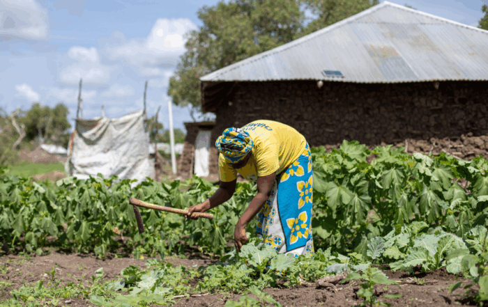 A woman cultivates her garden