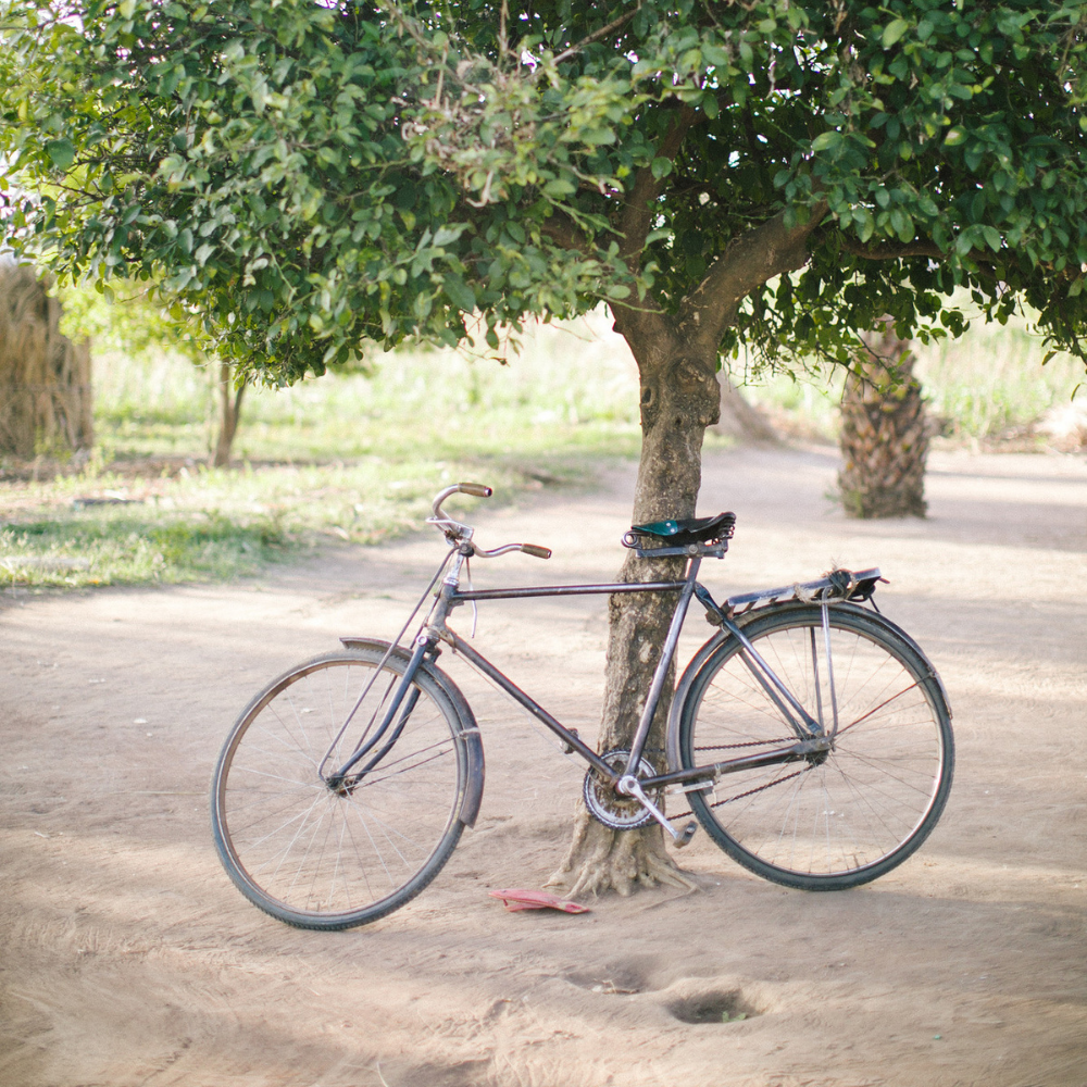 Bicycle for a child